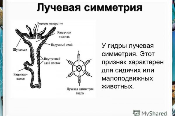 Кракен маркерлейс оф вход