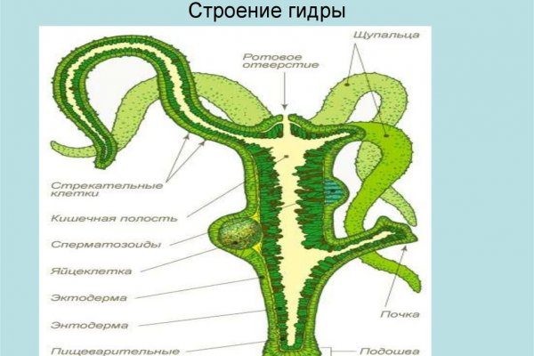 Кракен официальный